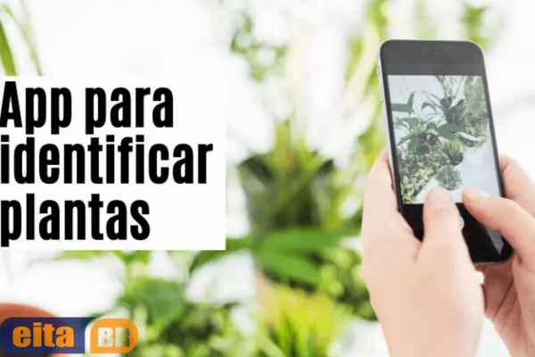 Aplicativo para Identificar Plantas | Baixe Grátis