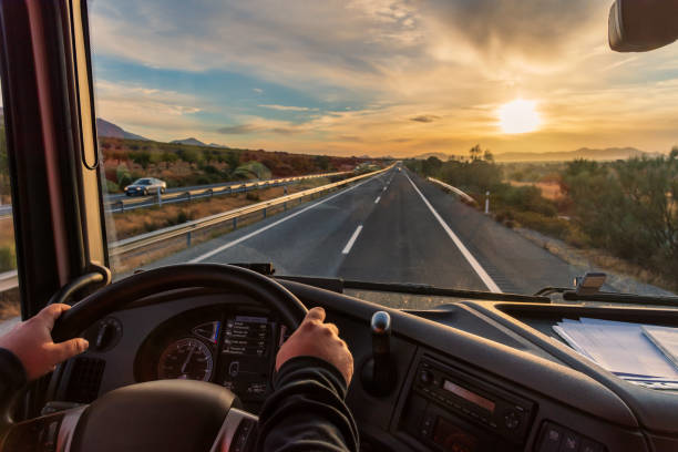 Carteira de Motorista: Como se Tornar Caminhoneiro nos EUA