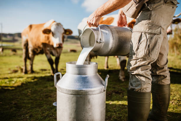 Teste de Qualidade para Leite de Vaca: Use o App Gratuito